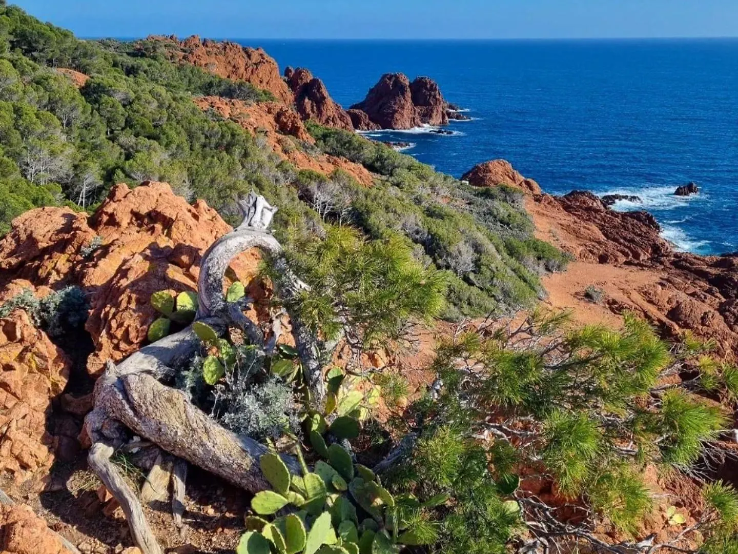 Apartment Le Jardin Du Cap Esterel Fh007 , Piscine Chauffee A Partir Du 05 Avril,Parc Aquatique,Animations Restaurants,Boutiques, Activites Sportives Saint-Raphael